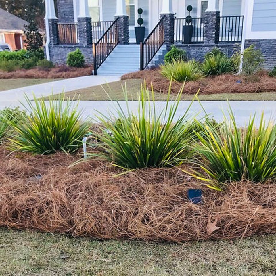 Yard clean up pic 2