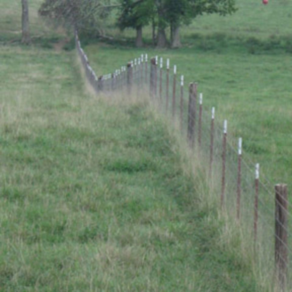 Fieldfenceonestrand6500 520150602 29141 1pkhfap