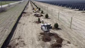 Polaris solar