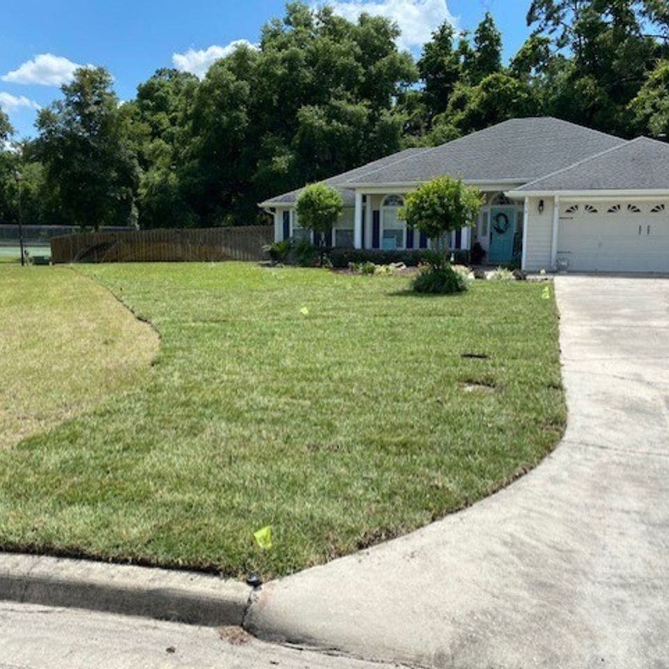 Vivian lawn after