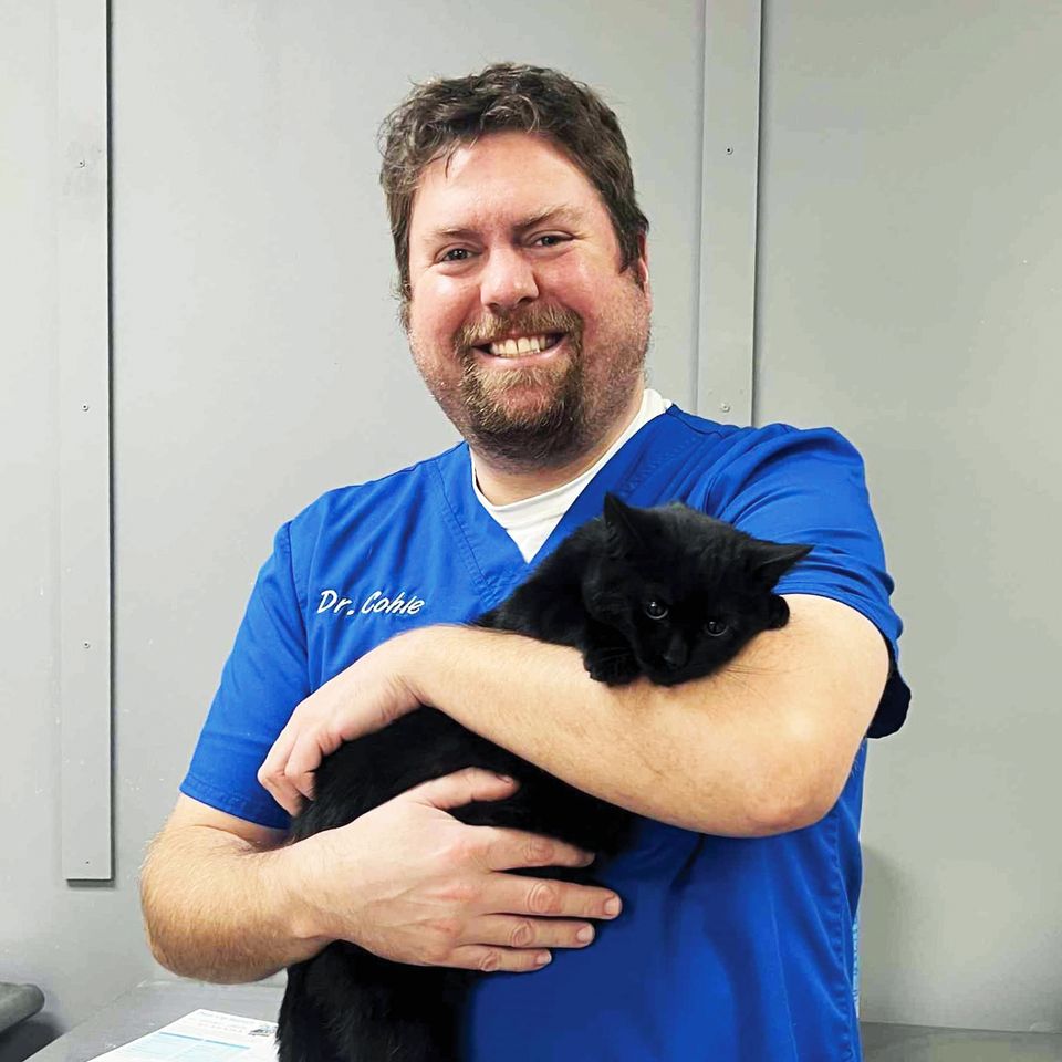 Spayneuterexpress coreycohle