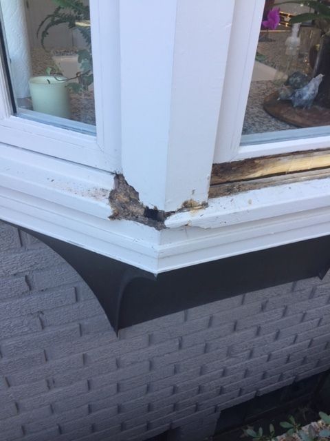 Wood rot repair specialists   window sill   img 306120170317 6169 i2dhs0