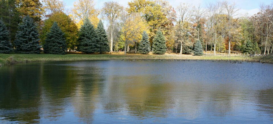Hornpark