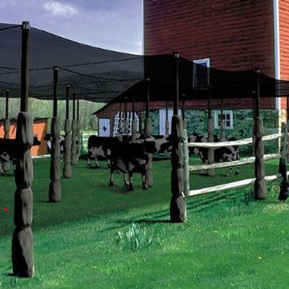 Tsm cattle shade