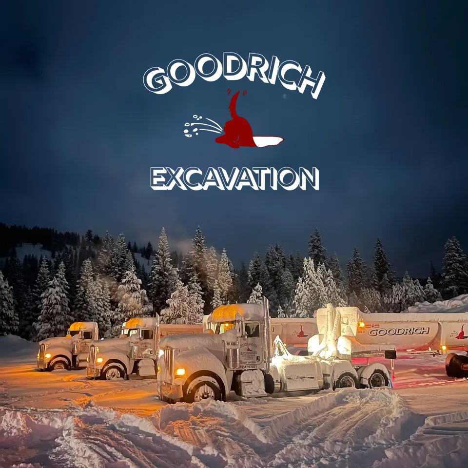 Loi2 goodrich1