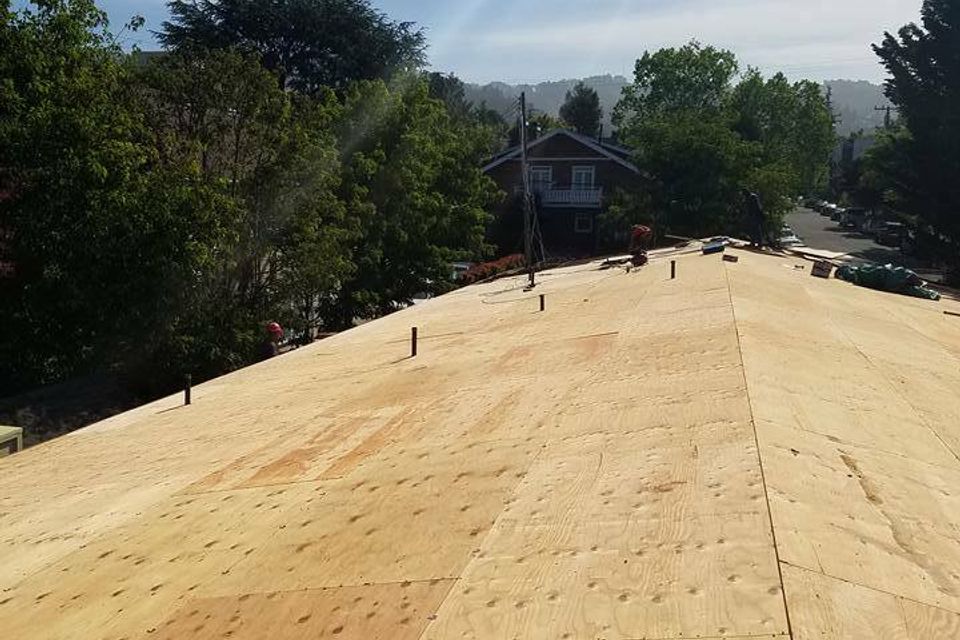 18403340 884040468400355 3588968757009305587 n