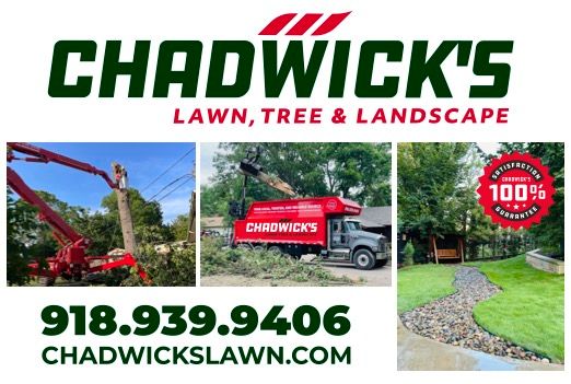 She24 chadwick's