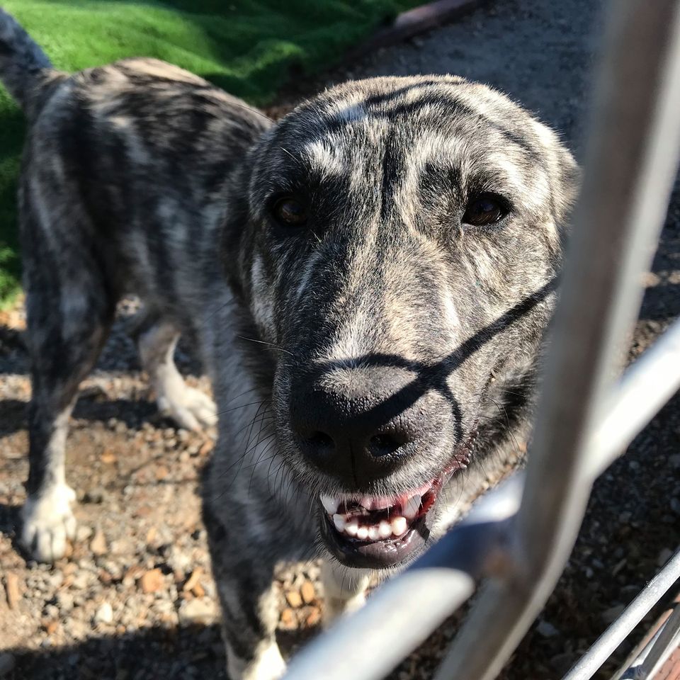 466868814 991666919681573 6325718231528125398 n