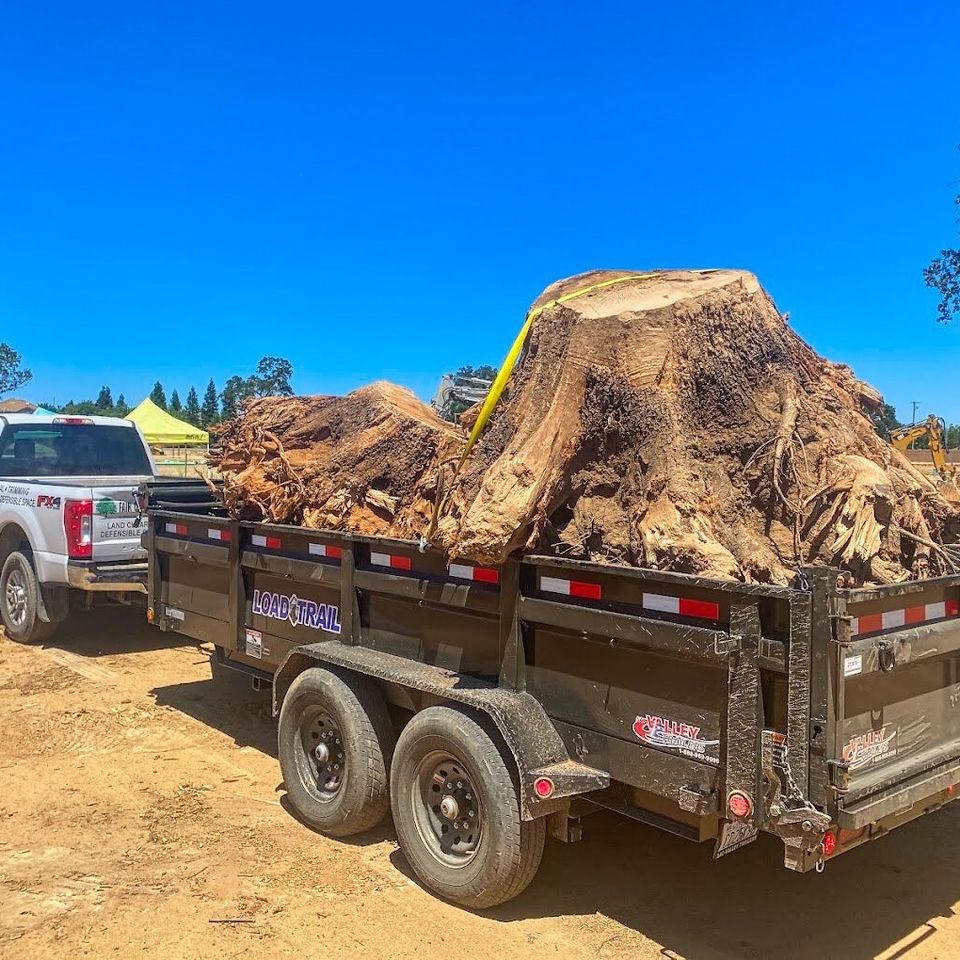 Large stump secured on Load Trail dump trailer pulled by forestry division truck