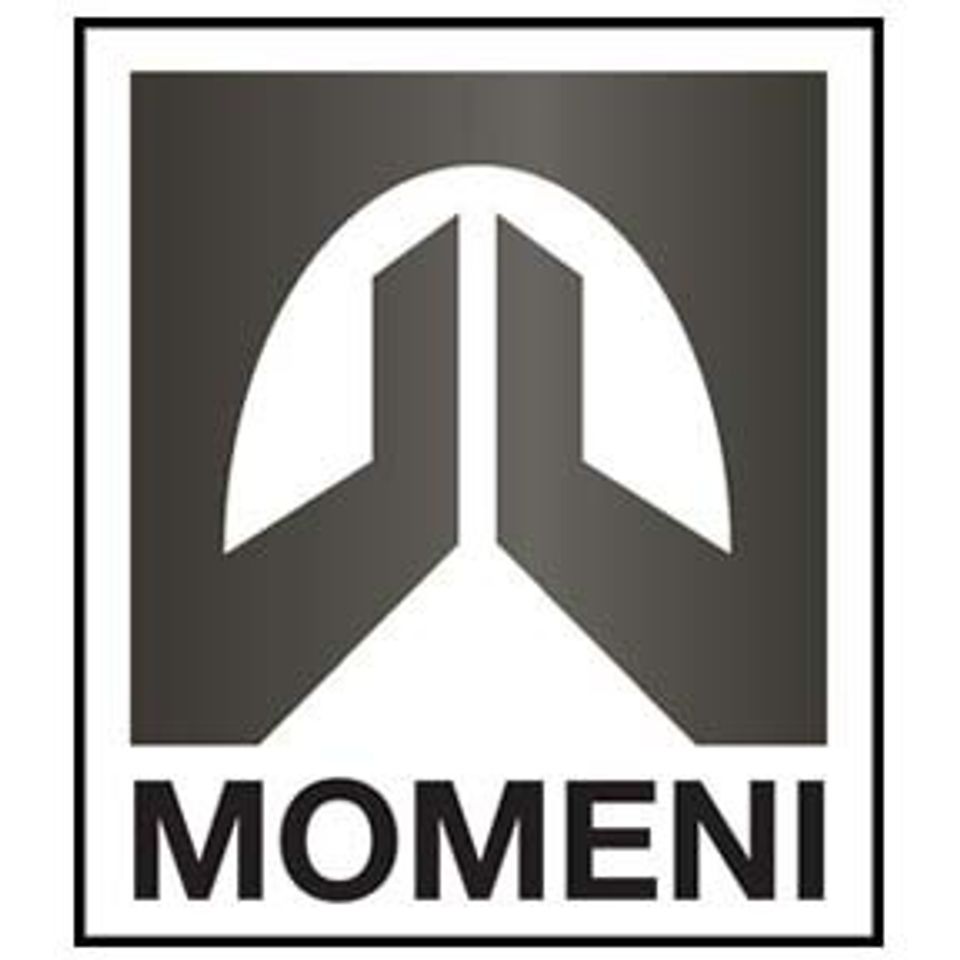 Momeni rug logo20150729 16322 1g33eie