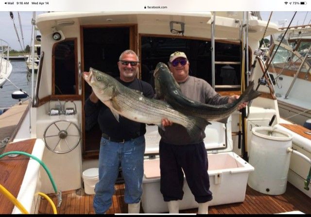 Captain stan and brother bob back of boat each holding huge striped bass
