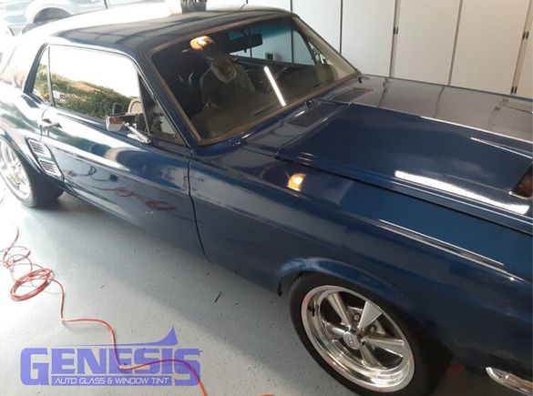Genesis mustang 