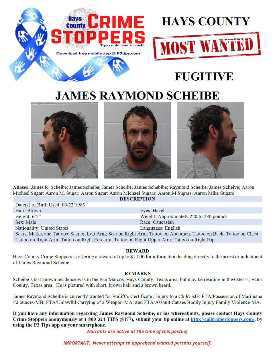 Scheibe most wanted poster