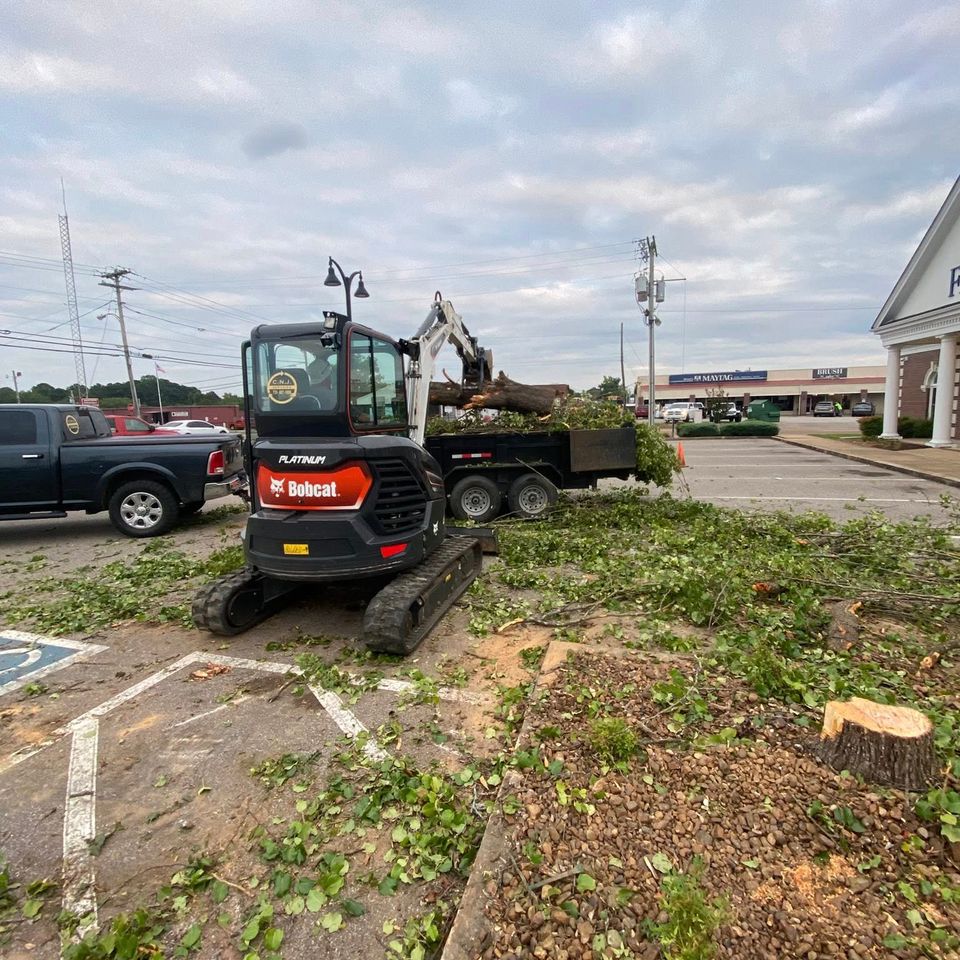 527075780 122116837610938961 1785759666009605682 n