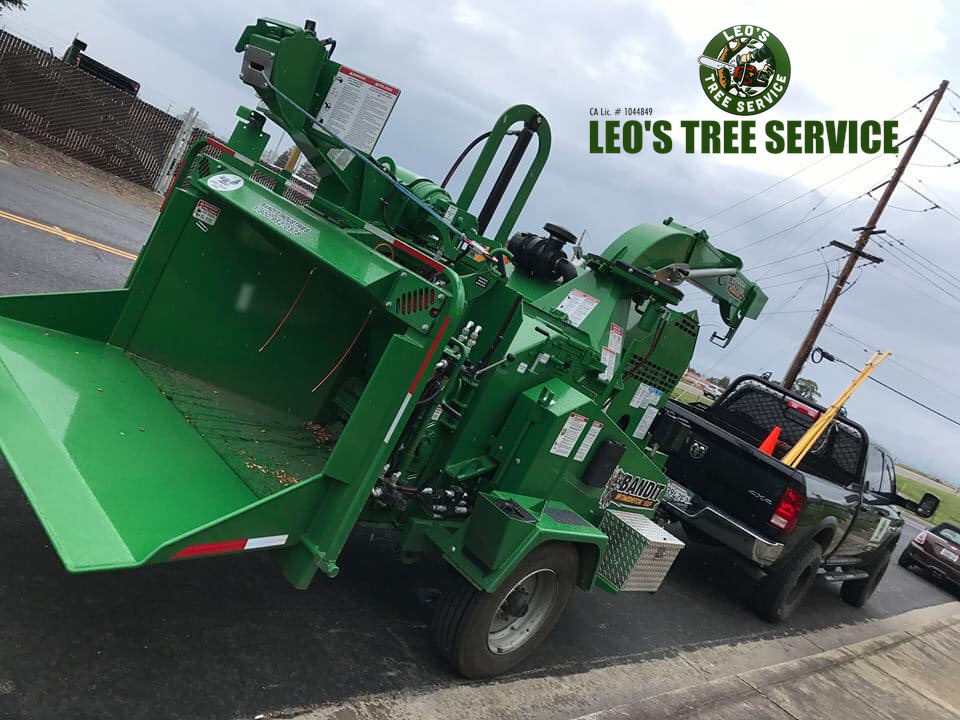 Leo's Tree Service equipment