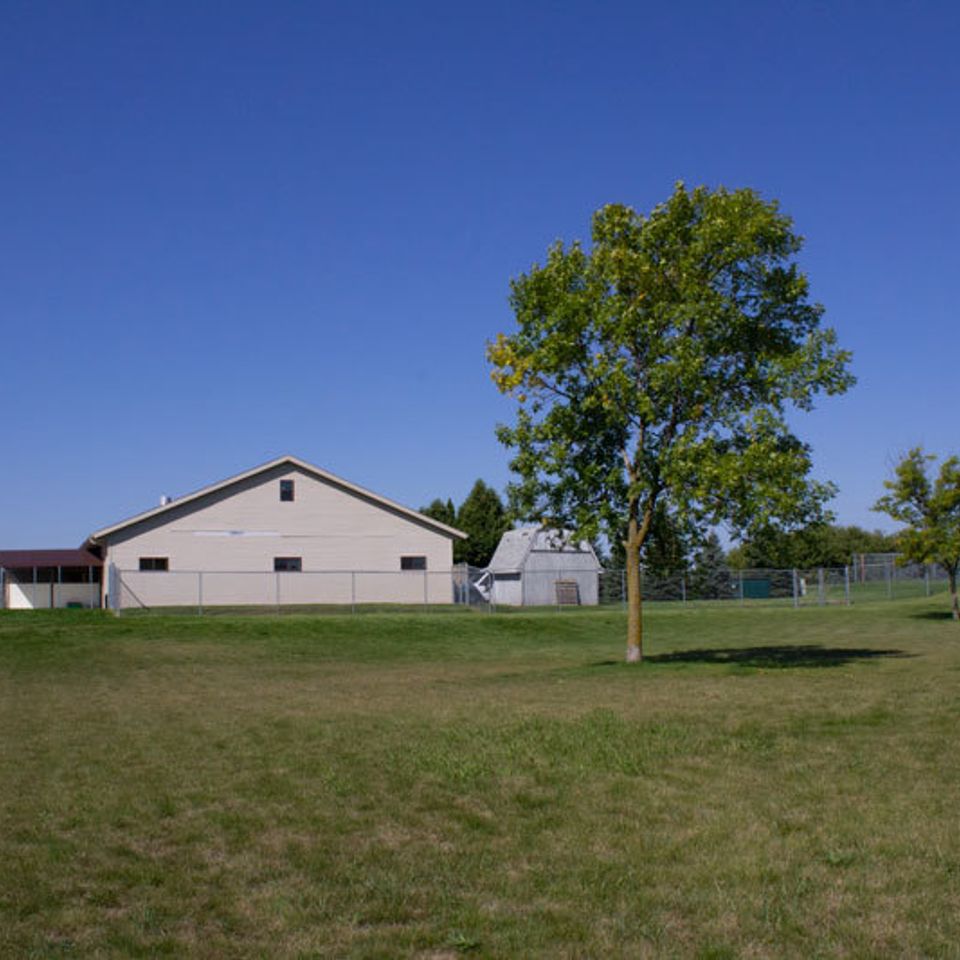 Backyard eastshore humane