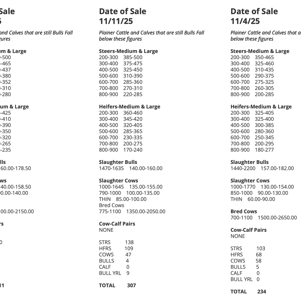 Screenshot 2025 12 03 at 3.51.49 pm