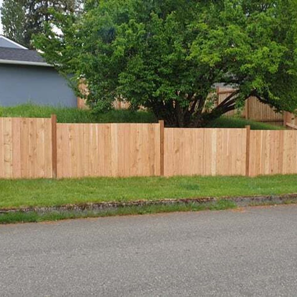 New cedar fence