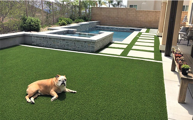 pet turf installation experts roseville ca