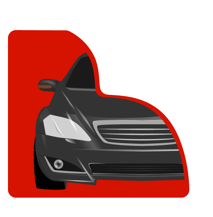 Pro Tint  By Flavim