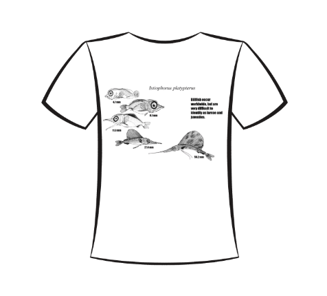 Screenshot 2025 10 27 090608