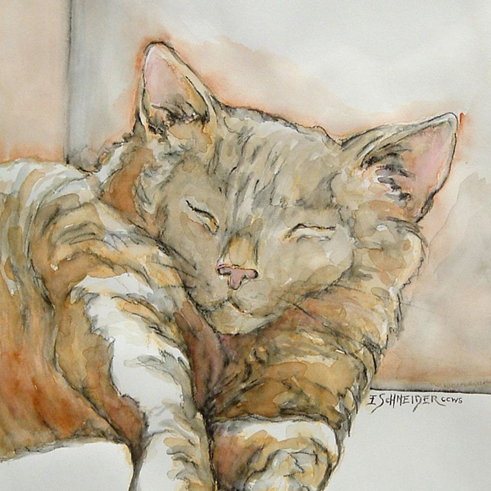 Snoozing