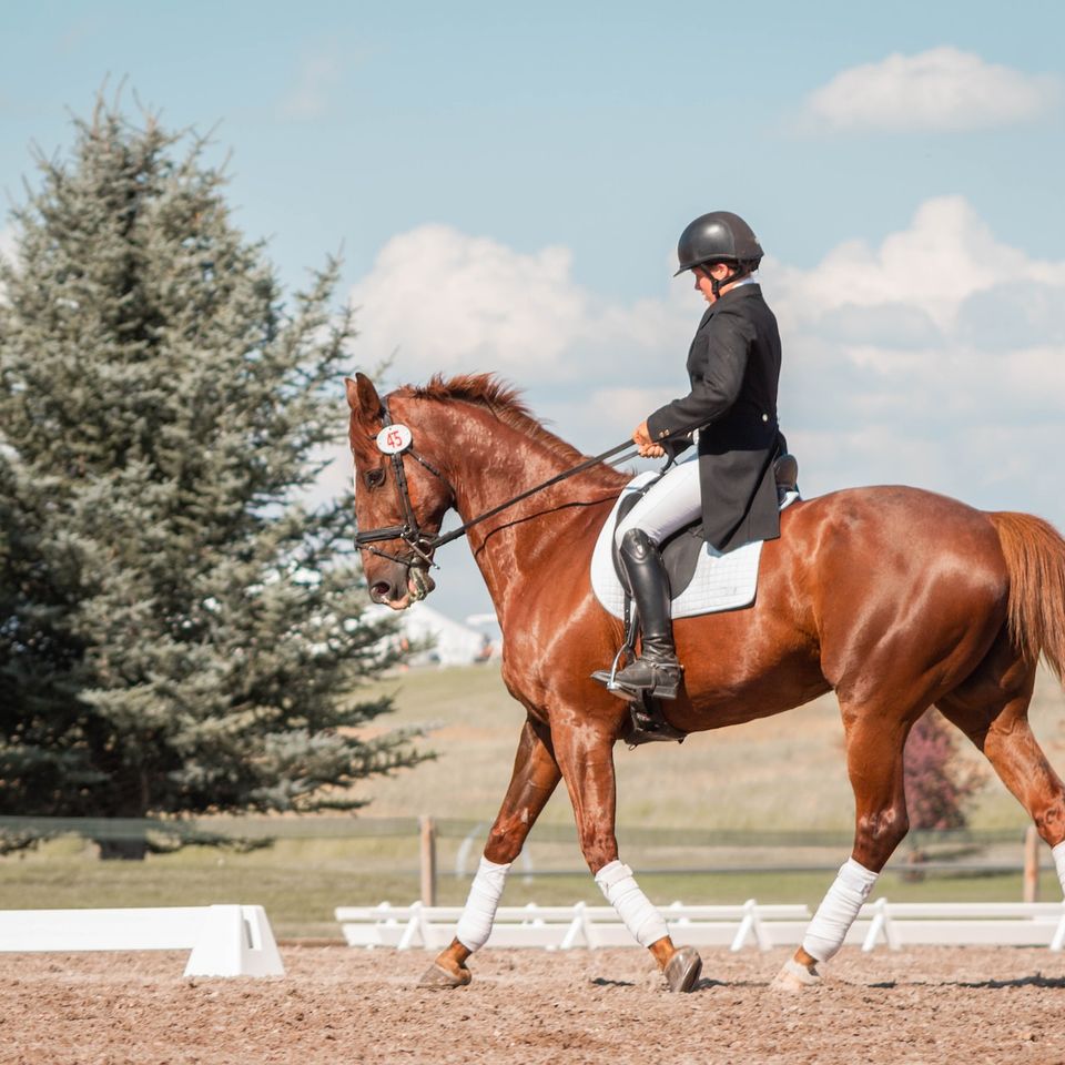 horse riding classes
