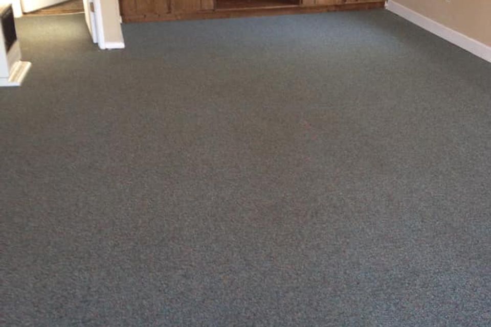 Jones carpet clean image6