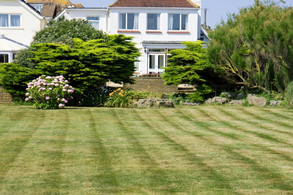 Freshly mowed residential lawn with professional striping, shrubs, and landscaped garden beds maintained by R.E.P. Companies.