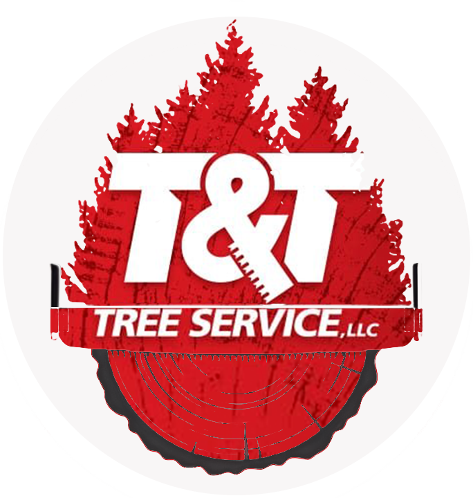 T&T Tree Service LLC