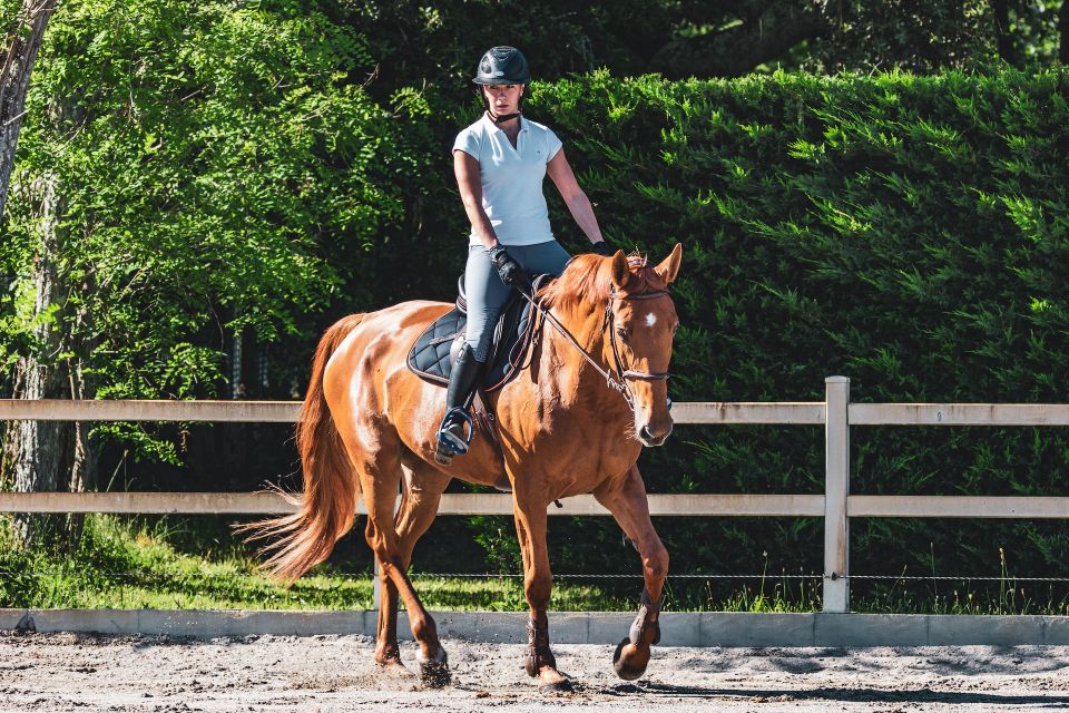 horse riding classes