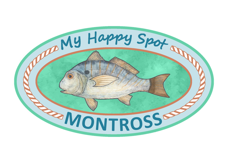 Mhs montross full color