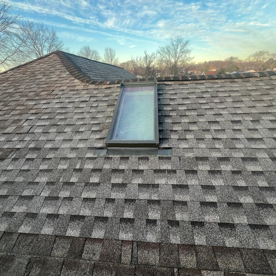 roof with skylights