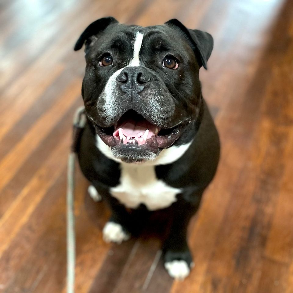 Thor