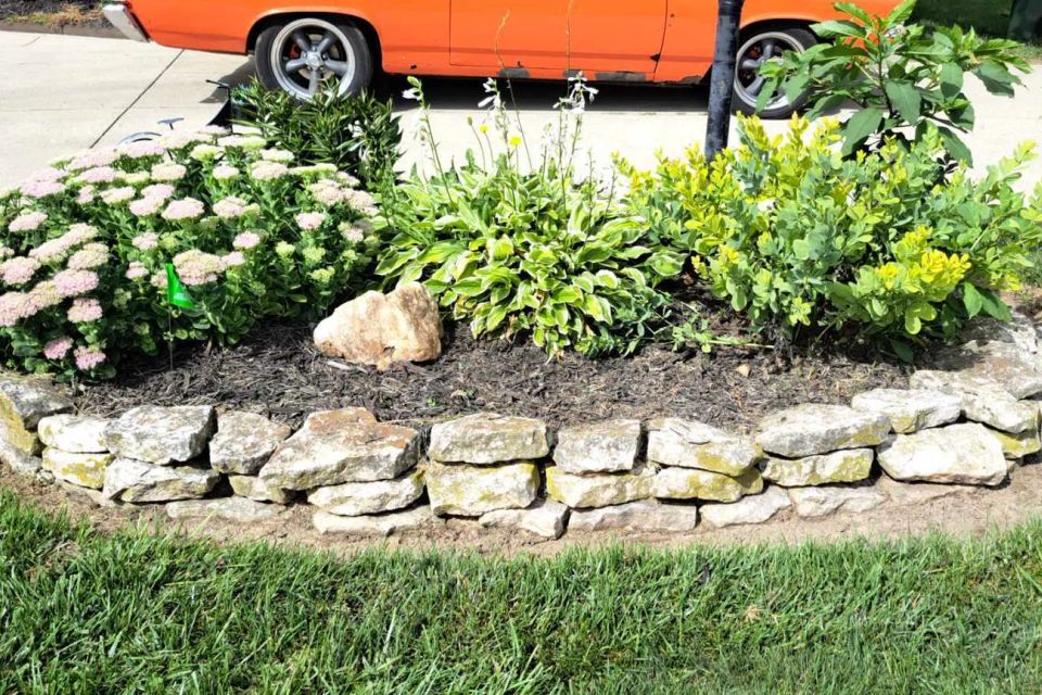 Flower bed with fresh black mulch, flowering plants, shrubs, and a natural stone border.
