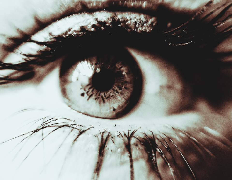 Iris   ray's brand guide eye