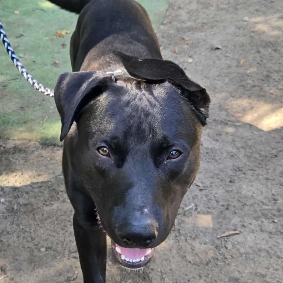 Messenger creation 1507465540613024