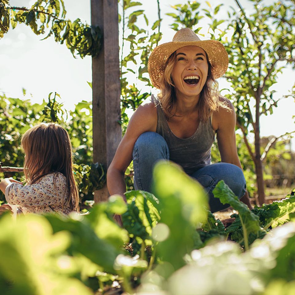 Bloir family farm 3