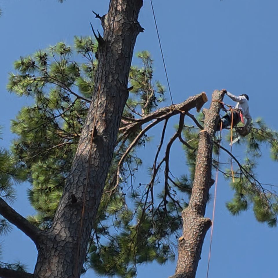 Screenshot 20251006 130724 gallery