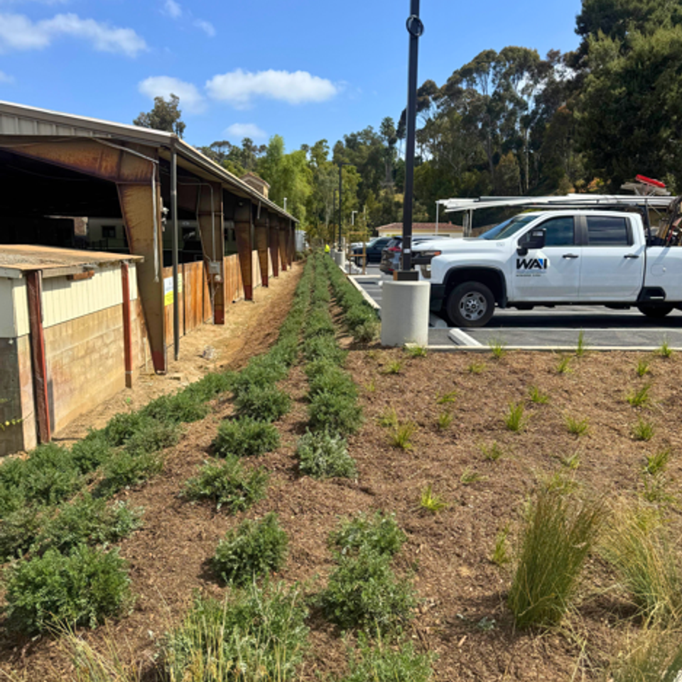 Screenshot 2026 01 16 124916