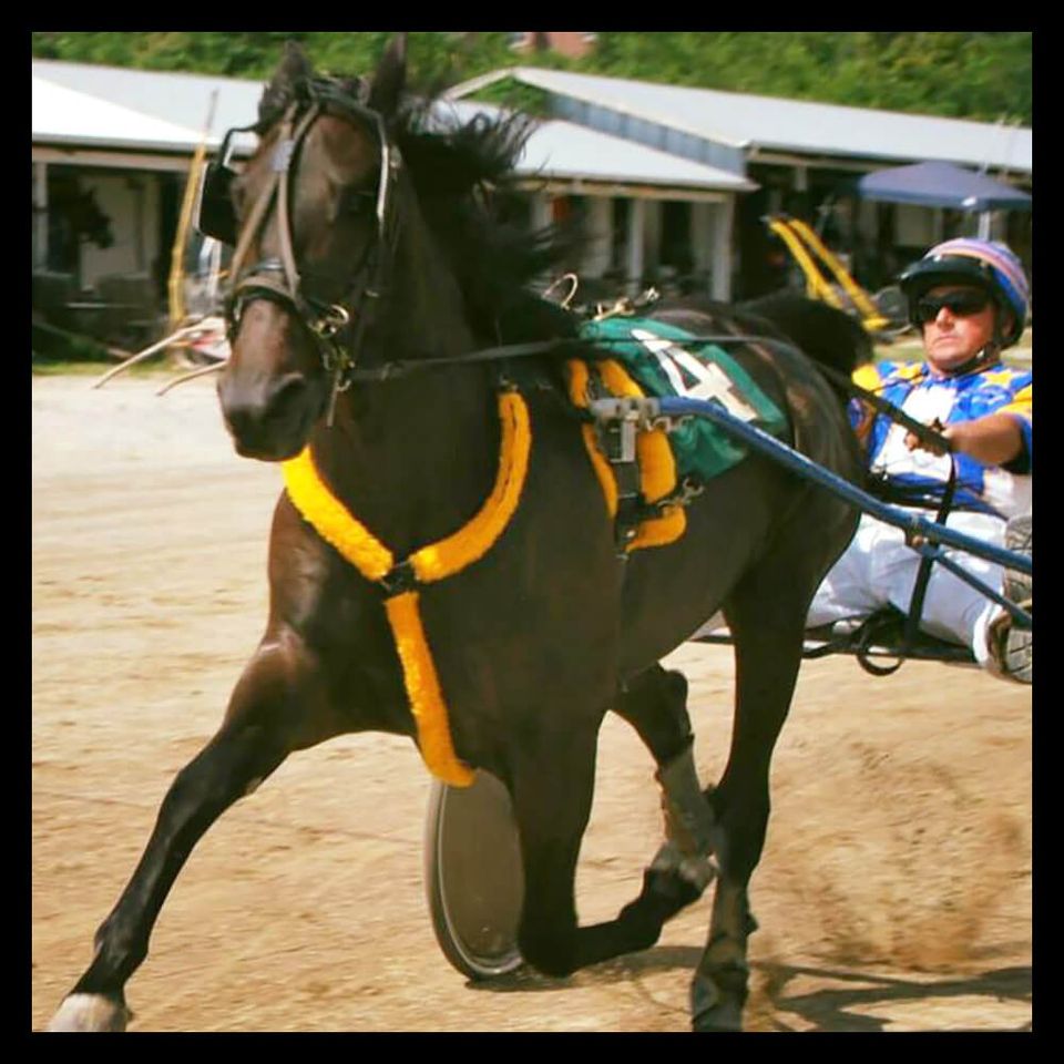 Events horse race 2x