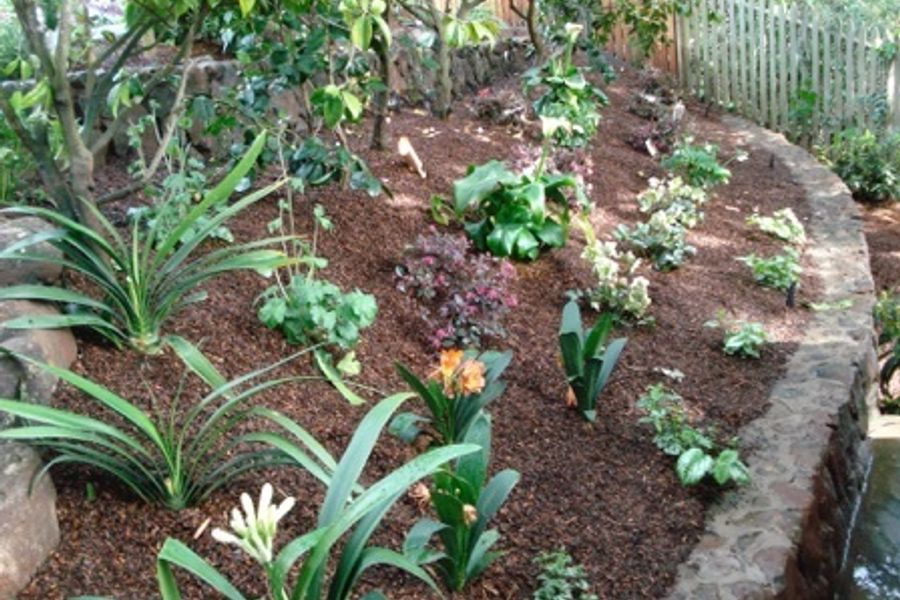 Gardening & Maintenance
