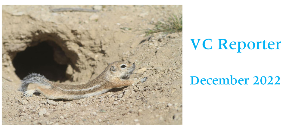 Vc reporter dec 2022