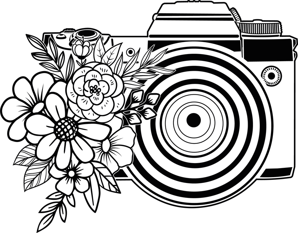 Profession   photographer camera 4 15