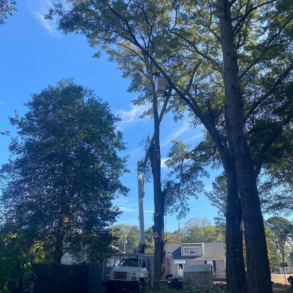 469491092 1491394821523990 1997846072090248029 n