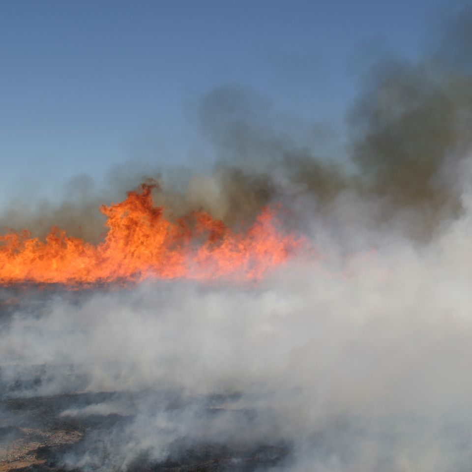 Wildfire 3