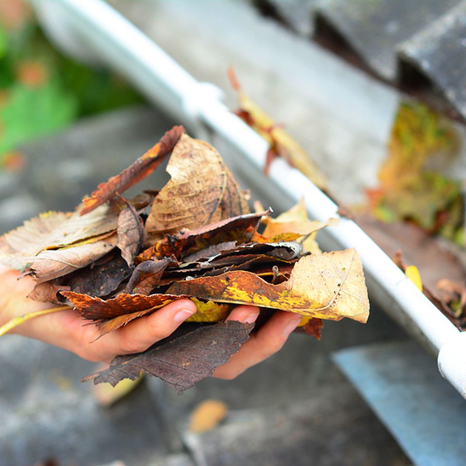 Bigstock roof gutter cleaning in autumn 444653543 (1)