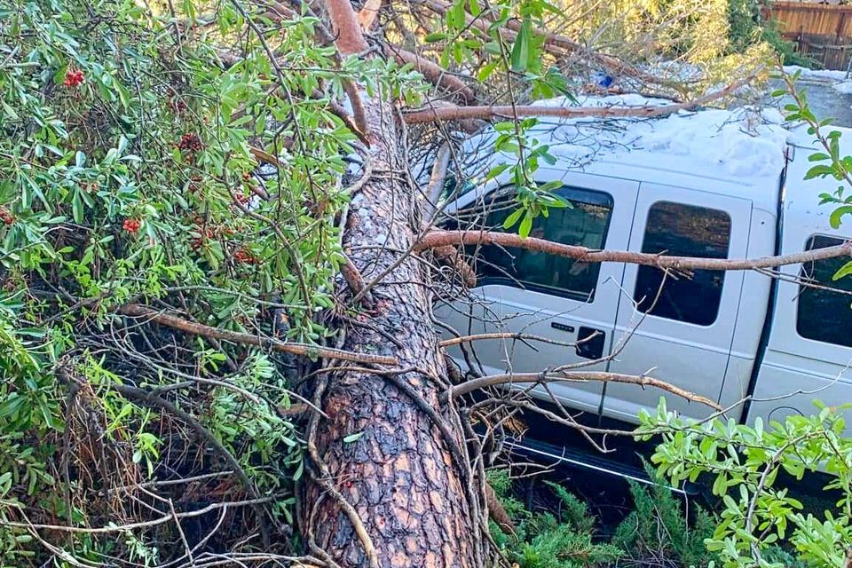 487249337 1254016736300970 7003083549923888583 n