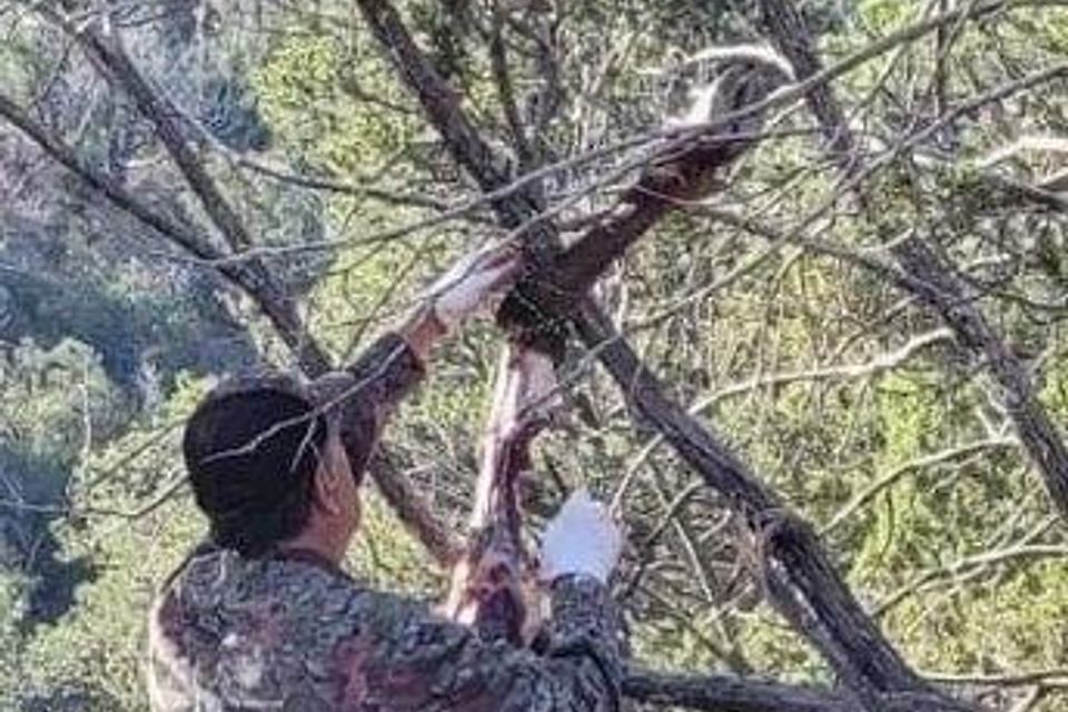 Elkguyd deboning meat for the packout 2021