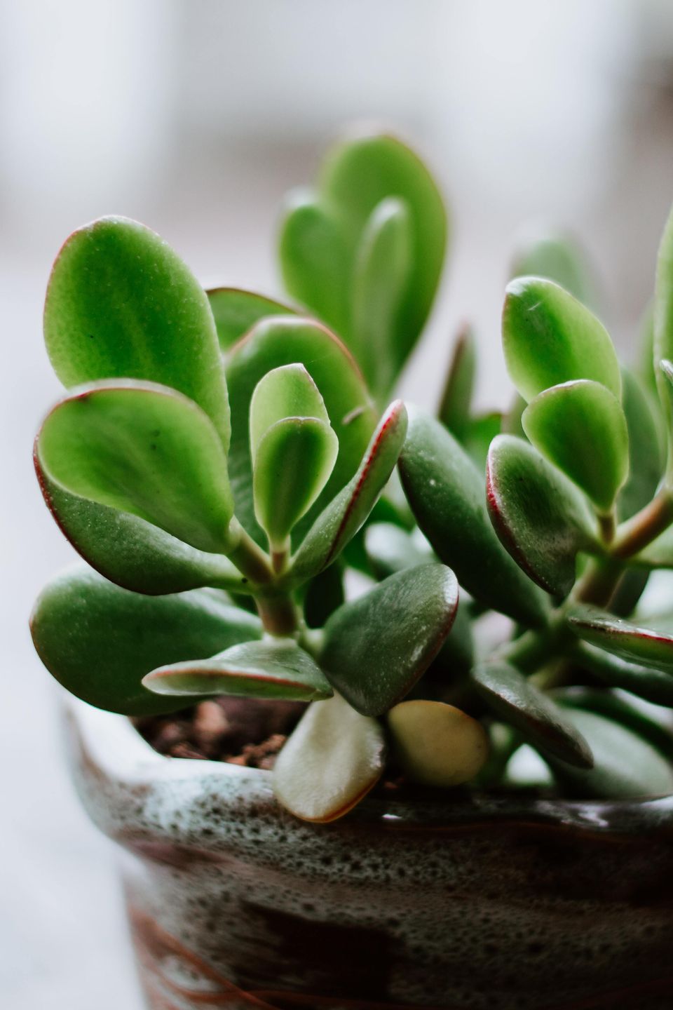 Okeykat 7tojgsu qcm unsplash